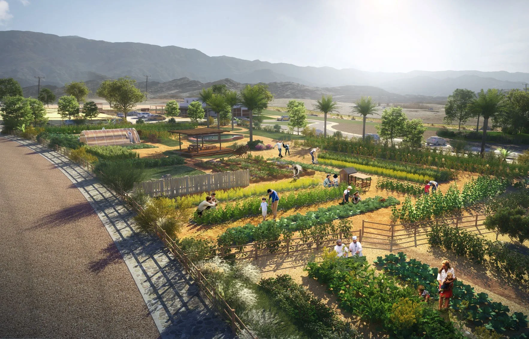 Sifah Farms, Jebel Sifah / Al Sifah